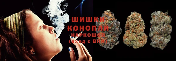 гашик Мегион