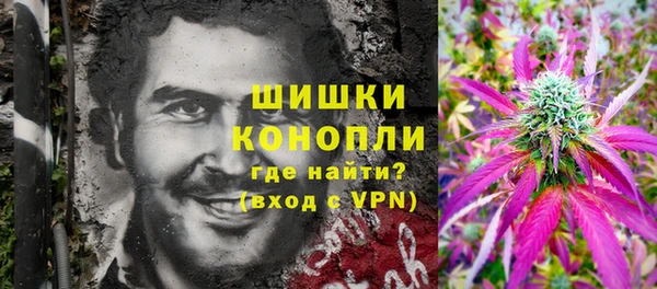 гашик Мегион